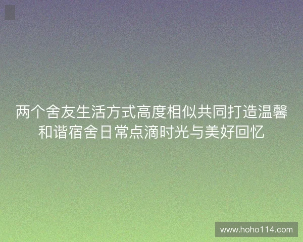 两个舍友生活方式高度相似共同打造温馨和谐宿舍日常点滴时光与美好回忆
